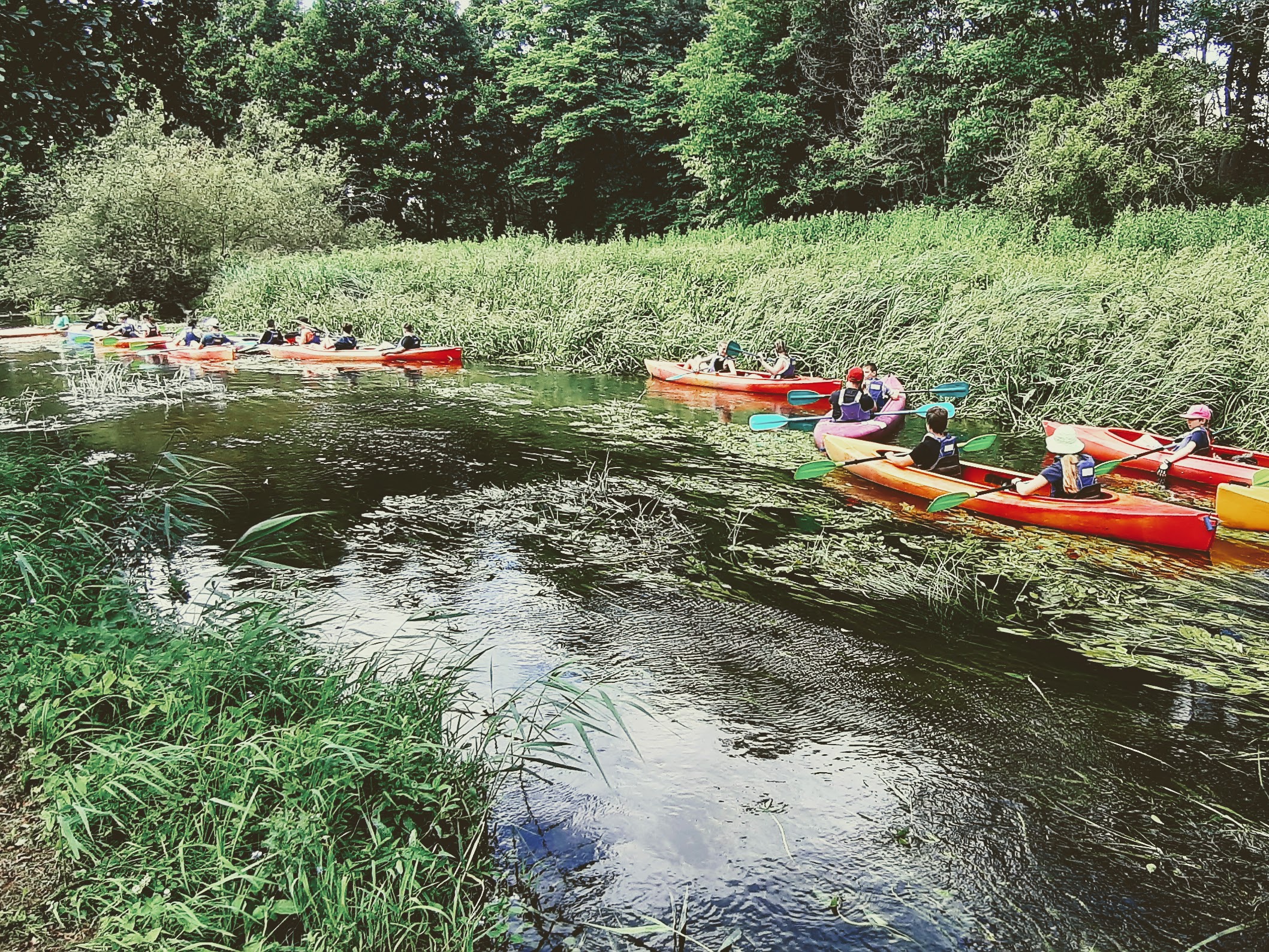 Zorganizowane spływy kajakowe