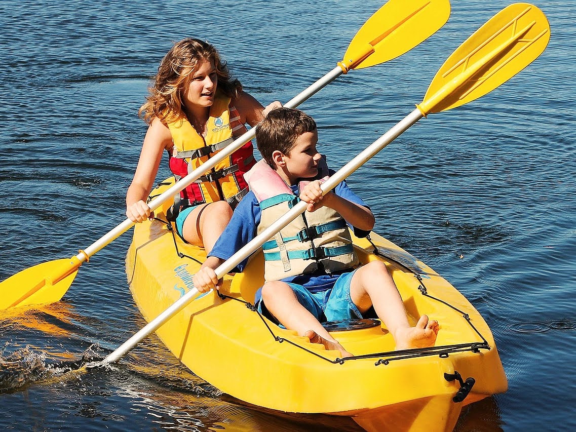 Zorganizowane spływy kajakowe